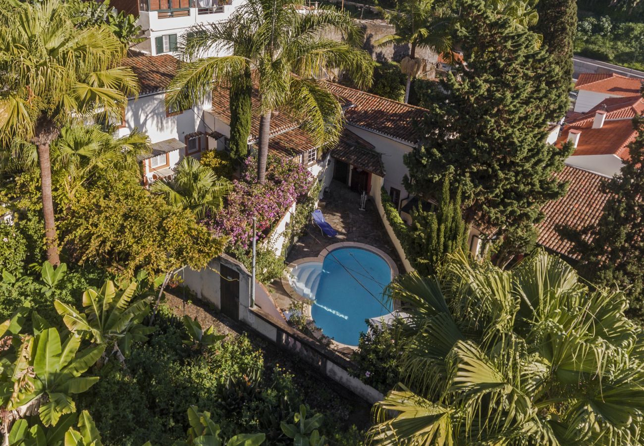 Casa em Funchal - Quinta Florença - By Wehost