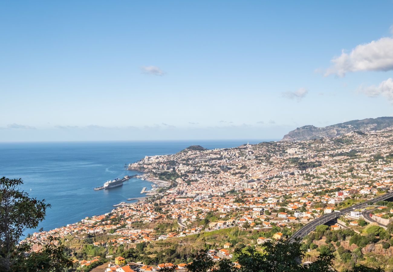 Apartamento em Funchal - Casa da Ângela - By Wehost